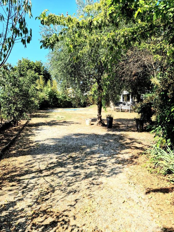 Calme Grand Jardin, A 10mn Du Centre * Toulouse
