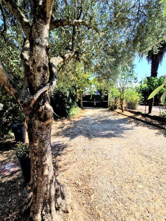 Calme Grand Jardin, A 10mn Du Centre * Toulouse